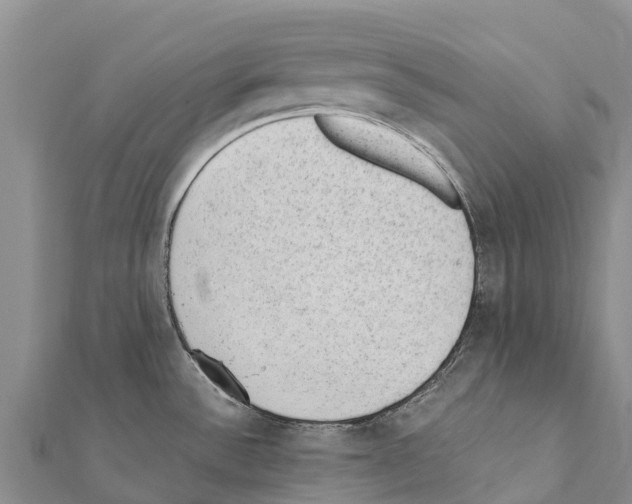 X0000111391532200908211351