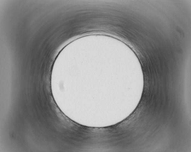 X0000111391534200908211351