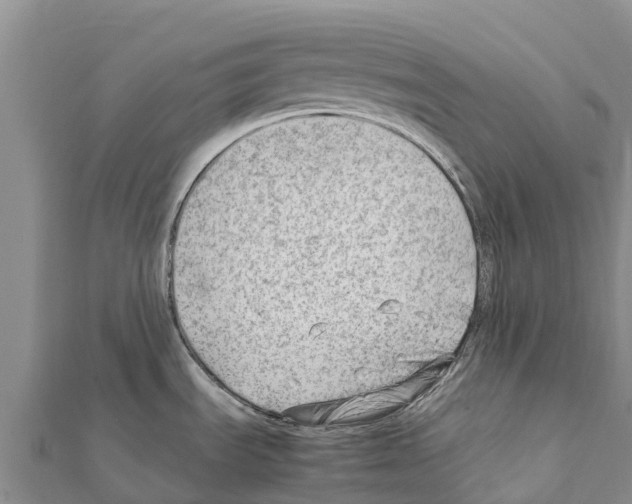X0000111391535200908211351
