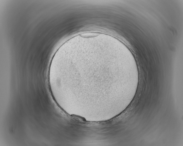 X0000111391536200908211351