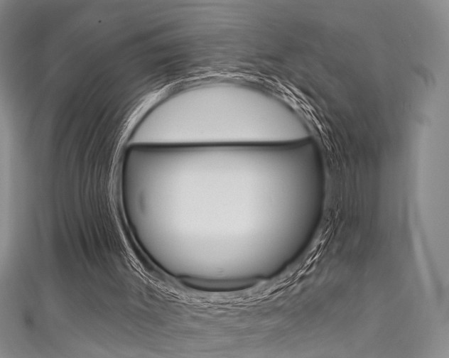 X0000111420003200907131029