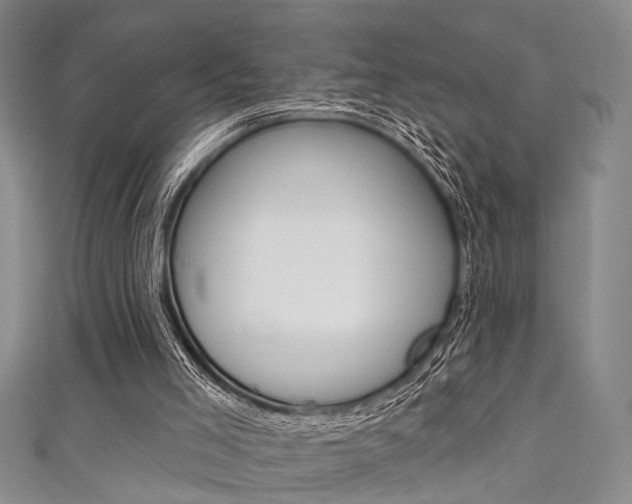 X0000111420005200907131029