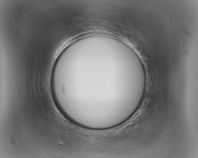 X0000111420007200907131029