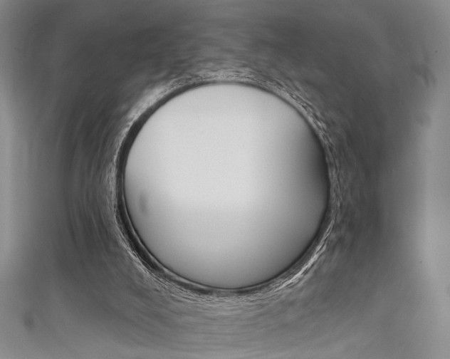 X0000111420008200907131029