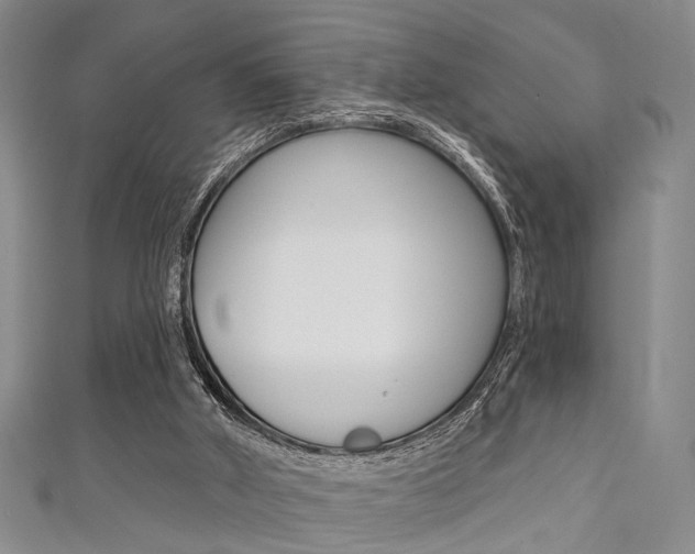 X0000111420010200907131029