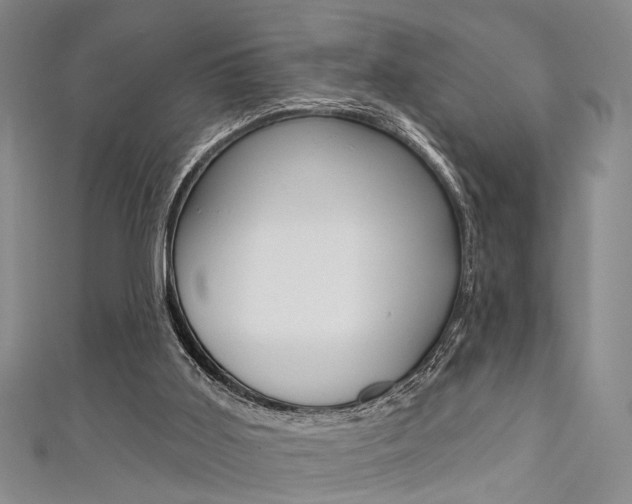 X0000111420011200907131029