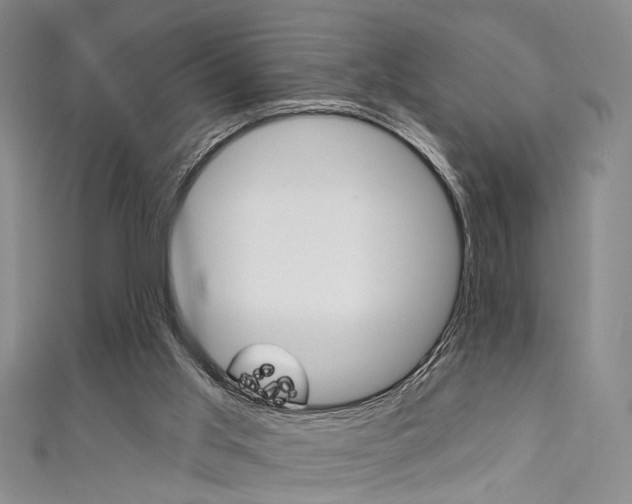 X0000111420013200907131029