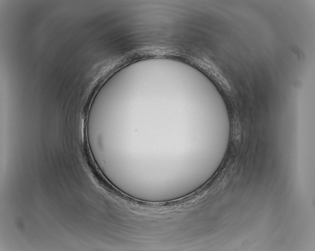 X0000111420014200907131029