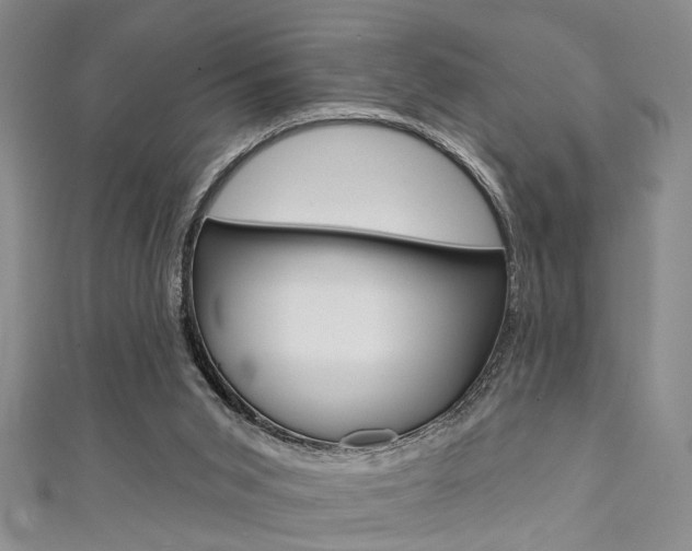 X0000111420015200907131029