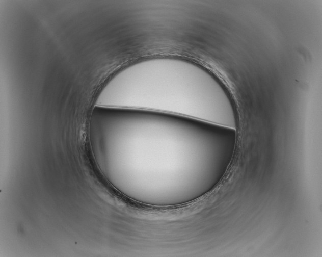 X0000111420017200907131029