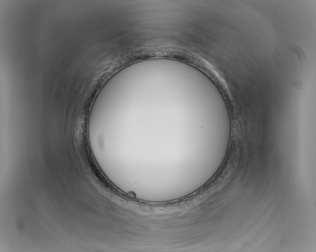 X0000111420018200907131029