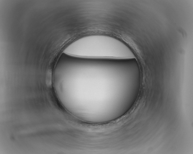 X0000111420021200907131029