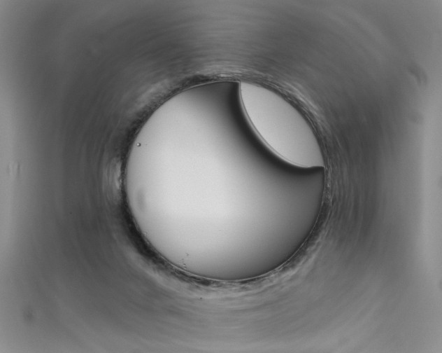 X0000111420024200907131029