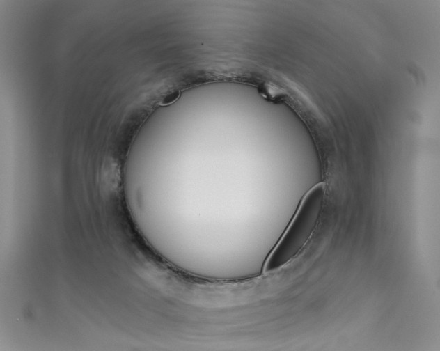 X0000111420025200907131029