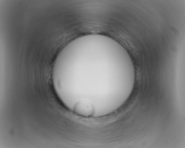 X0000111420030200907131029