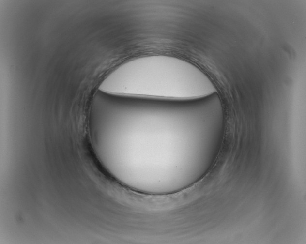 X0000111420031200907131029