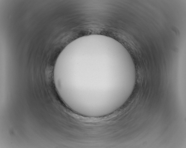 X0000111420034200907131029