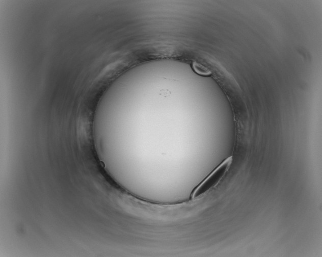 X0000111420035200907131029
