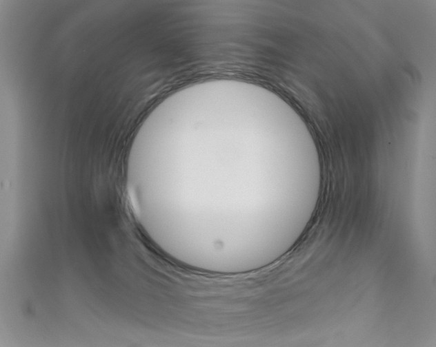 X0000111420036200907131029