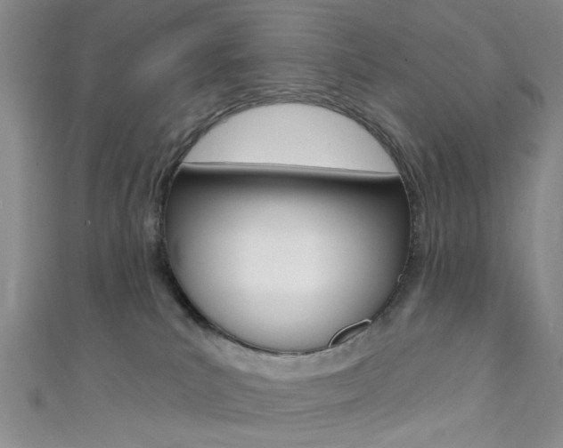 X0000111420039200907131029