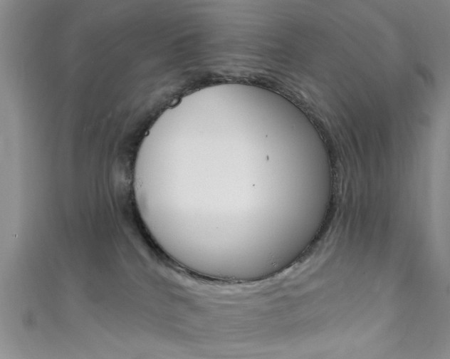 X0000111420040200907131029