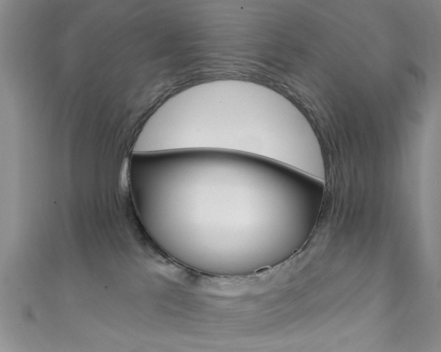 X0000111420041200907131029