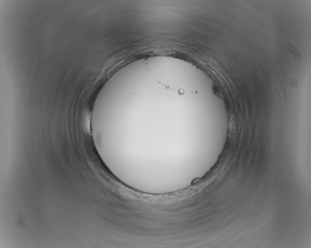 X0000111420046200907131029