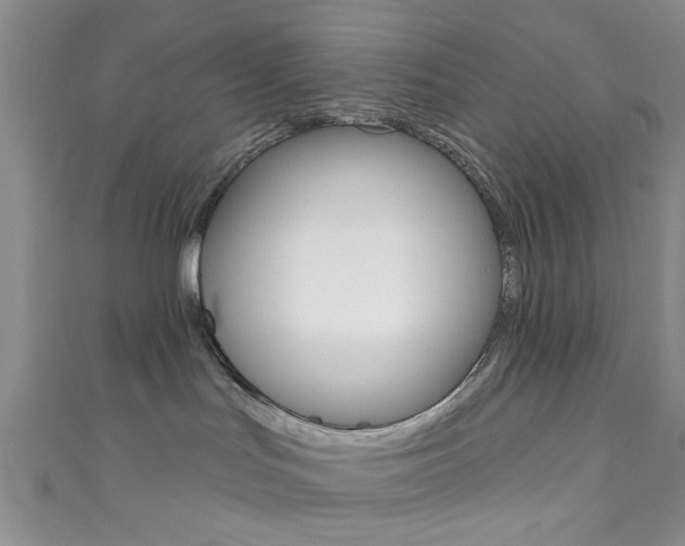 X0000111420047200907131029