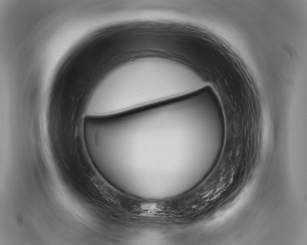 X0000111420050200907131028