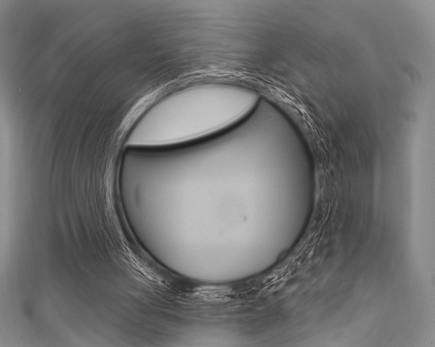 X0000111420051200907131028