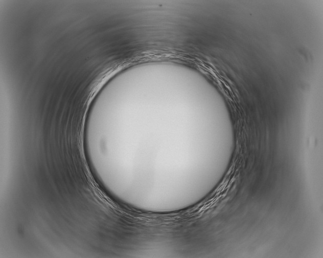 X0000111420052200907131028