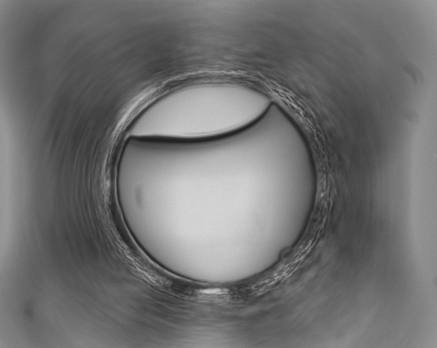 X0000111420053200907131028