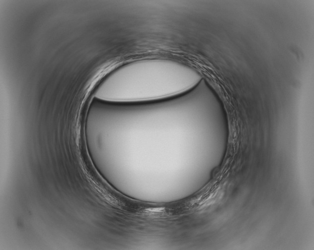 X0000111420054200907131028
