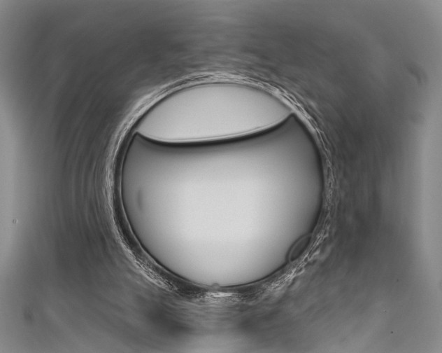 X0000111420055200907131028