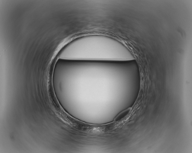 X0000111420056200907131028