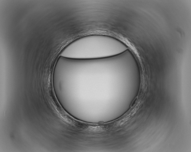 X0000111420057200907131028