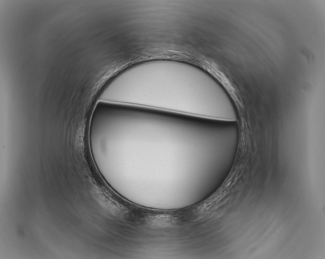X0000111420058200907131028