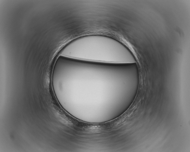 X0000111420059200907131028