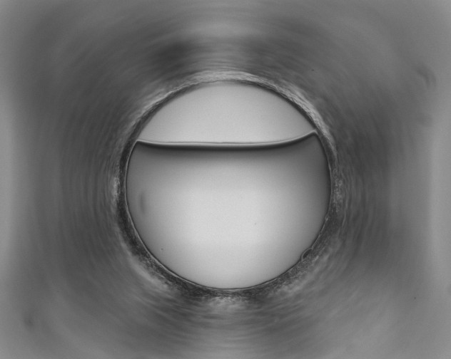 X0000111420063200907131028