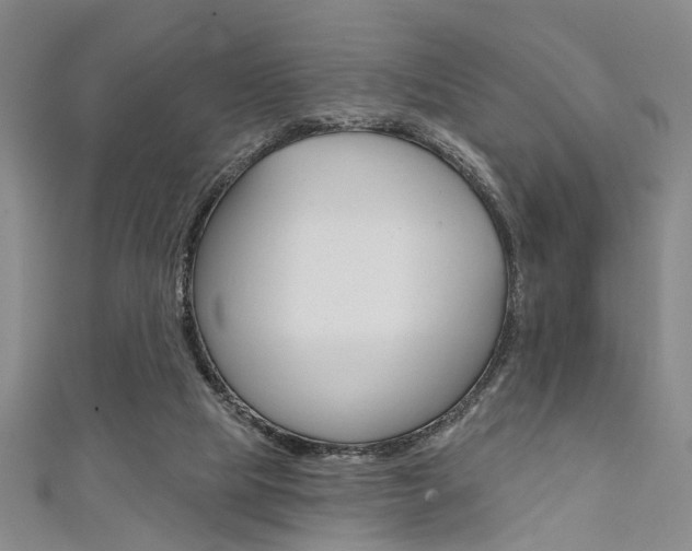 X0000111420065200907131028