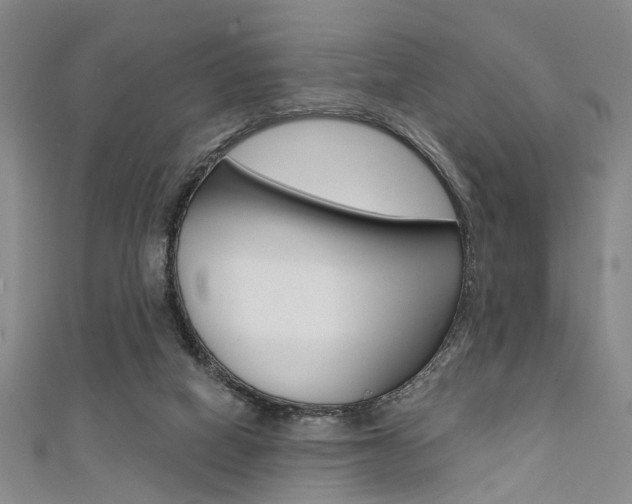 X0000111420066200907131028