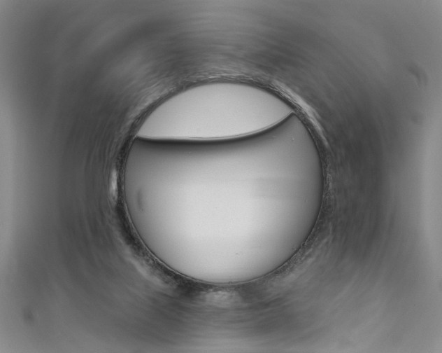 X0000111420067200907131028