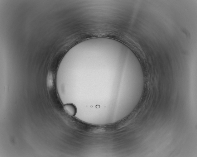 X0000111420075200907131028