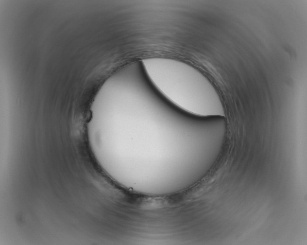 X0000111420077200907131028