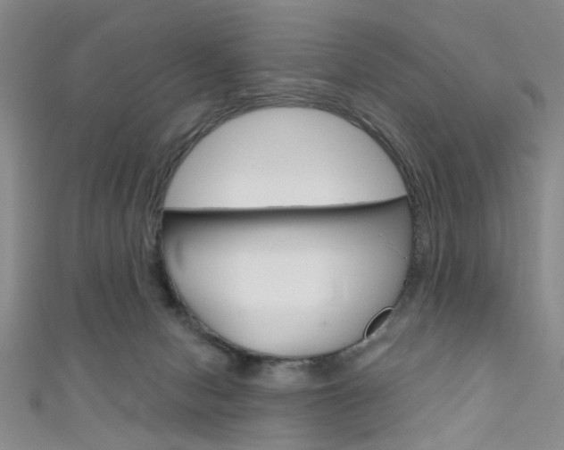 X0000111420078200907131028