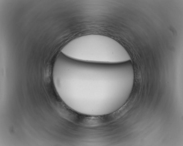 X0000111420082200907131029