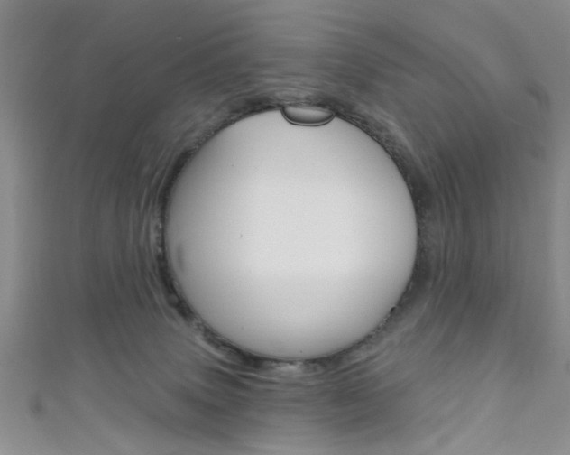 X0000111420083200907131029