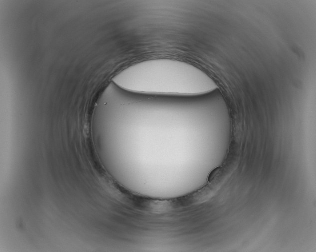 X0000111420085200907131029