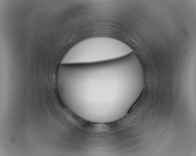 X0000111420087200907131029
