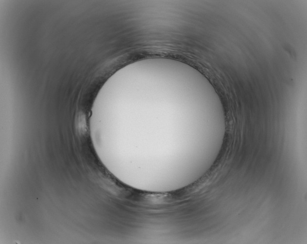 X0000111420089200907131029